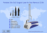 Tragbare CO2 10600nm Chirurgie-Laser-Haut-Narben-Abbau-Maschine für Haustiere