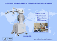 Low Level 6D Laser Fat Reduce 532 nm Grün 635 nm Rotlichttherapie Kaltlasertherapiegerät