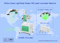 Grün-Rote Kryo-Pads 10d Laser-Fettentfernung Maxlipo Master-Gerät