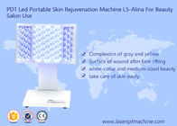 PDT führte tragbare Haut-Verjüngungs-Maschine L5-Alina für Schönheitsmaschine