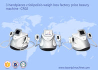 3 Handpieces Cryolipolysis, das Maschinen-Gewichtsverlust-Schönheits-Ausrüstung CR02 abnimmt