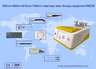Dioden-Laser-Haar-Abbau 650nm 810nm 980nm 1064nm tragbar für Tiergebrauch