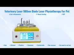 Dioden-Laser-Veterinärlaser-Therapie RBS05 980nm für Haustier-Wundheilung