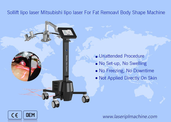 Guter Preis tragbare Cryolipolysis Schönheit 220v Maschinen-6d Lipolaser Zerona Online