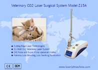 Mikroprozessorgesteuerte CO2-Lasermaschine mit medizinischem chirurgischem Laser