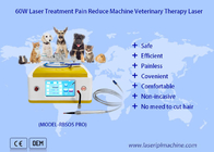 Veterinärlaser-Therapie der Dioden-980nm für Haustier-Wundheilung