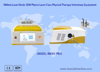 Haustiere schmerzen Laserveterinärtherapie-Laser-Gerät der Wiederaufnahme-chirurgischen Dioden-980nm