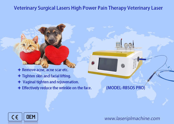 Haustiere schmerzen Laserveterinärtherapie-Laser-Gerät der Wiederaufnahme-chirurgischen Dioden-980nm