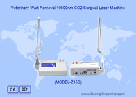 10600nm Tierärztliche CO2-Laser-Wartentfernung Chirurgische 15w-Gerät für Hunde