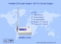 Portable Lcd Veterinär Co2 Laser für Tierchirurgie