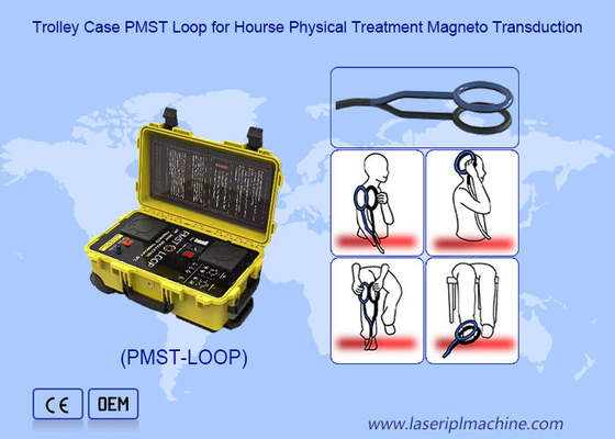 Physikalische Magnetotherapie Magnetfeldtherapie mit 4500 HZ-Oszillation