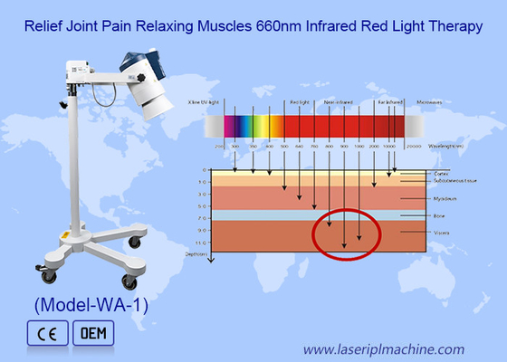 Multifunktionale Infrarotlichttherapie-Maschine Wasserfilterung Linderung von Muskelschmerzen