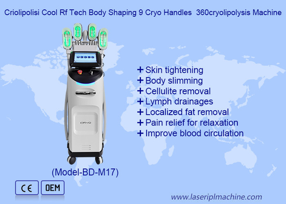 Berufs-Cryolipolysis, das Maschinen-Gewichts-Verlust-Schönheits-Ausrüstung abnimmt