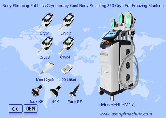 Körper Abnehmen Fettverlust Kryotherapie Kühl Körper Skulptur 360 Cryo Fett Gefriermaschine