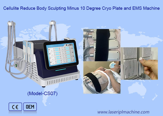 2 in 1 Cryo-Platte und EMS-Schlankheitsmaschine für Fettfrieren und Hautverengung