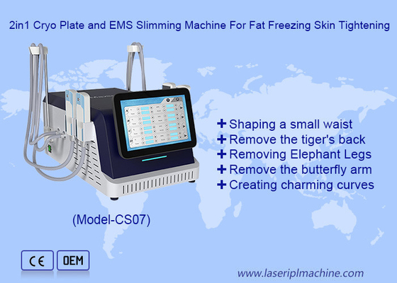 2 in 1 Cryo-Platte und EMS-Schlankheitsmaschine für Fettfrieren und Hautverengung