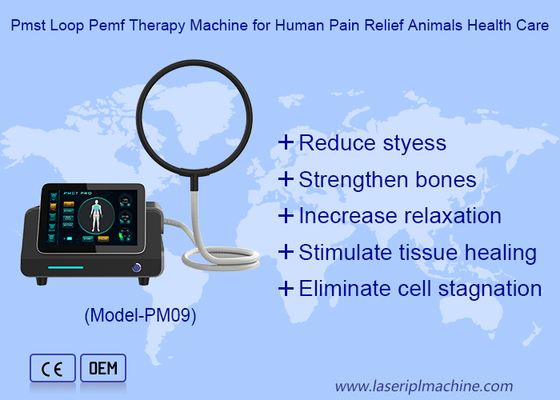 Portable Magnettherapie Schleife Hochintensive Physio-Magnetische Maschine