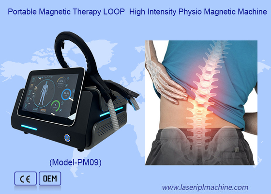 Pmst Loop Pemf Therapie-Maschine für Menschen Schmerzlinderung Tiere Gesundheit