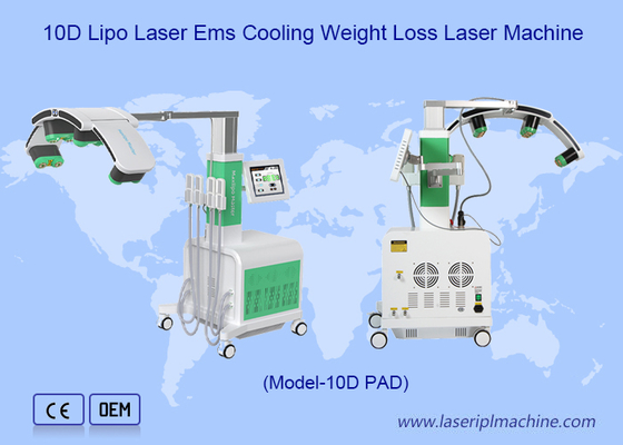 Grün-Rote Kryo-Pads 10d Laser-Fettentfernung Maxlipo Master-Gerät