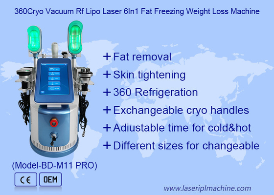 650nm - 550nm Cryolipolysis, das Maschine für die Körper-Formung/Haut Tigtening abnimmt