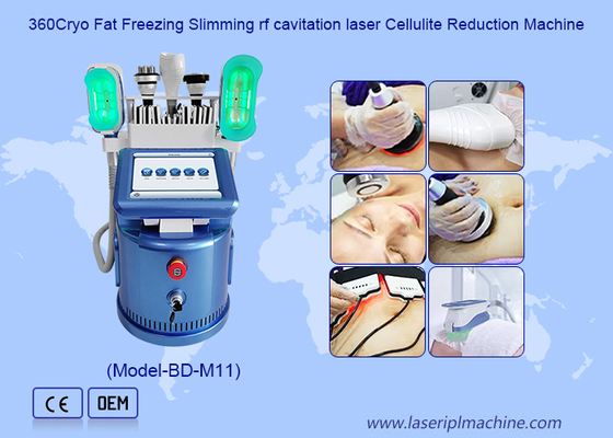 Effektive 650nm Cryolipolysis, das Maschine für die Körper-Formung/Haut abnimmt, ziehen fest