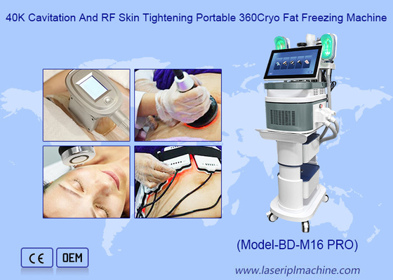 Berufs-cryolipolysis Fetteinfrieren/cryolipolysis, das Maschine abnimmt