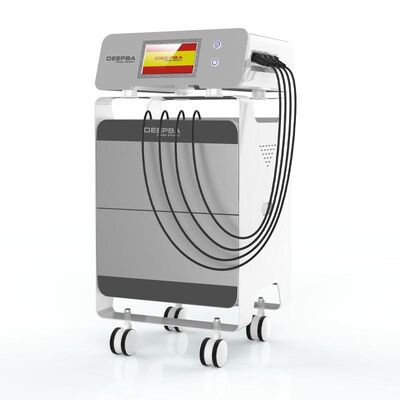 Guter Preis Tragbare Schönheit St09 Tecar-Druckwelle-Maschinen-Multifunktionsschmerzlinderungs-Rfs Online