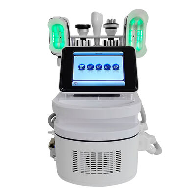 Guter Preis Kaltes Laser-Gerät 1Hz - 1000Hz der tragbaren Dioden-650nm für Cellulite-Abbau Online