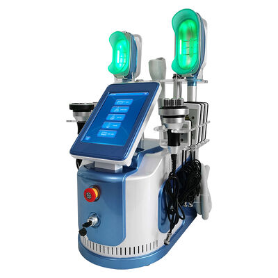 Guter Preis 650nm - 550nm Cryolipolysis, das Maschine für die Körper-Formung/Haut Tigtening abnimmt Online