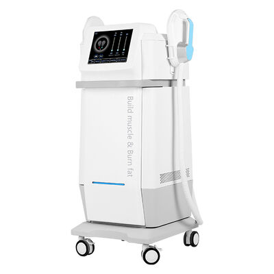 Guter Preis 2 Handgriffe EMS Gewichtsverlust Muskelaufbau HI EMT Tiefmuskel-Stimulationsmaschine Online
