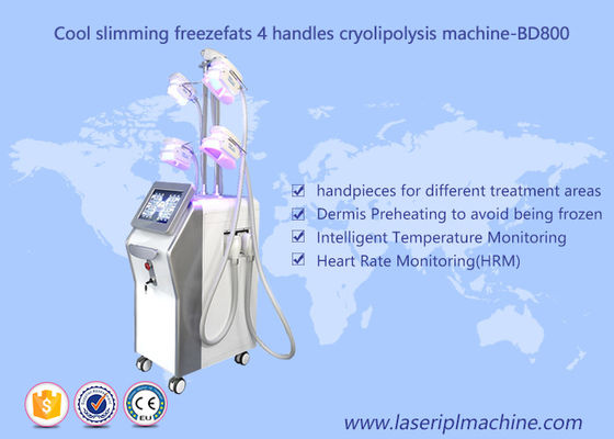 Guter Preis 4 Griff-Gewichtsverlust Cryolipolysis-Maschine/fette einfrierende Vakuumhohlraumbildung, die Maschine abnimmt Online