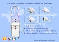 Form-Körper Cryolipolysis, der Maschine, Schönheits-Ausrüstung Lipo Cryo Cryolipolysis abnimmt