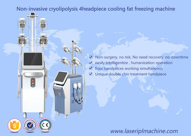 Fetter einfrierender Verlust Cryolipolysis, der Maschinen-Vakuumhohlraumbildungs-Rf-Maschine abnimmt