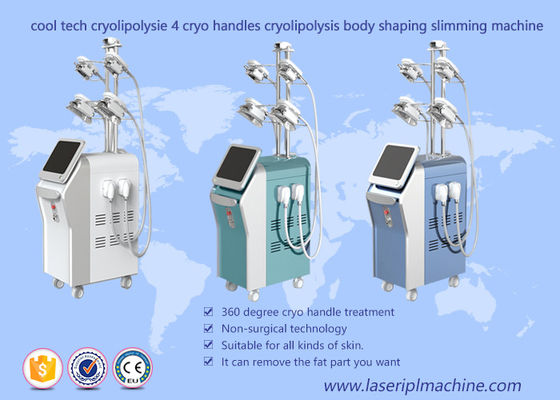 Guter Preis Körper, der Cryolipolysis-Vakuummaschine, fetten Frost 4 Griffe Cryolipolysis abnimmt Maschine formt Online