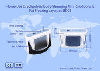 Tragbares Cryolipolysis, das den Maschinen-Minikörper abnimmt Sculpting fettes Verlust-Gerät abnimmt