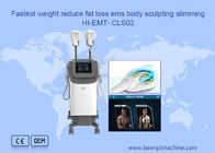 300µS Maschine der Klinik-220v EMT Cavitation Body Slimming