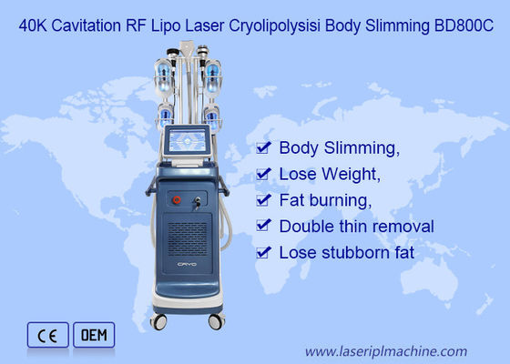 9 in 1 Vakuum 800VA Cryolipolysis, das Maschine abnimmt