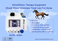 Tragbare Veterinärphysiotherapie-Druckwelle-Maschine für Pferd
