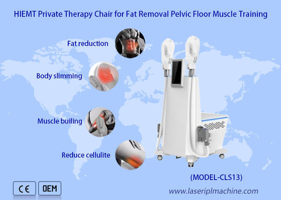 Guter Preis Gewichtsverlust 2 Griffe Buttbuck anhebende Ems-Maschinen-Sculpting Muskel-Massage Online