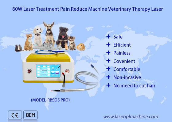 Guter Preis Veterinärlaser-Therapie der Dioden-980nm für Haustier-Wundheilung Online