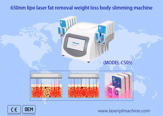 Guter Preis Tragbarer 650nm Lipo Laser-Maschine Ultrashape-Körper, der Gewichtsverlust abnimmt Online