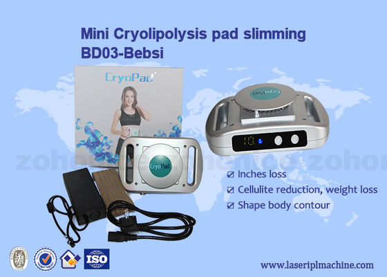 Guter Preis Hauptgebrauch Mini Cryolipolysis Machine Abnehmen 220v/110v Online
