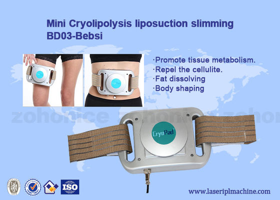Guter Preis Minihauptgebrauchs-Schönheits-Gerät Cryolipolysis-Frost-Fettpolster-Maschinen-Kryotherapie-Maschine Online
