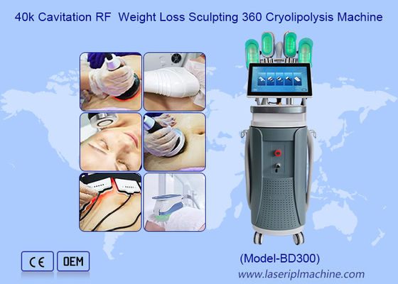 Guter Preis 40k Kavitation RF Gewichtsverlust Skulptur 360 Cryolipolyse Maschine Online