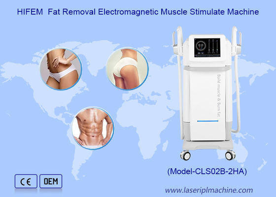 Guter Preis 2 Handgriffe EMS Gewichtsverlust Muskelaufbau HI EMT Tiefmuskel-Stimulationsmaschine Online