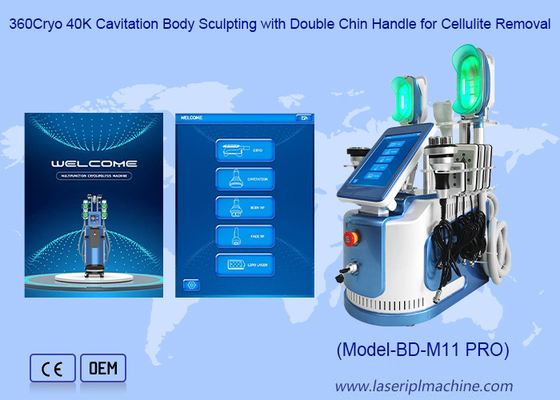 650nm - 550nm Cryolipolysis, das Maschine für die Körper-Formung/Haut Tigtening abnimmt