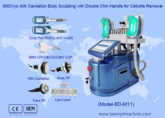 Effektive 650nm Cryolipolysis, das Maschine für die Körper-Formung/Haut abnimmt, ziehen fest
