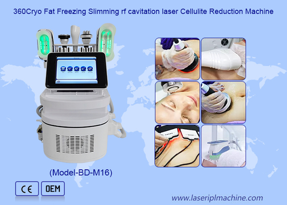 Tragbares cryolipolysis fette Frostausgangs-cryolipolysis Fettabsaugungsmaschine