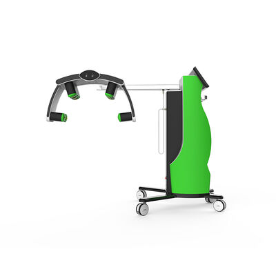 Guter Preis 532 nm 635 nm Kaltlaser-Gewichtsverlustgerät 10d Maxlipo Master Online