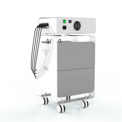 Guter Preis Ems-Hochfrequenz Eswt-Ausrüstungs-Rückenschmerzen-Entlastungs-Gesundheitswesen Online